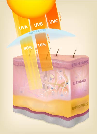 how uv radiation causes bcc actc uv rays